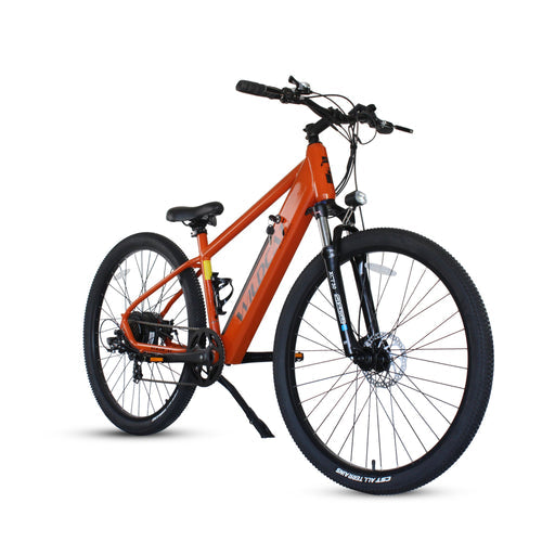 Fast and Powerful Wildcat Panther E-MTB 29 Electric Bicycle