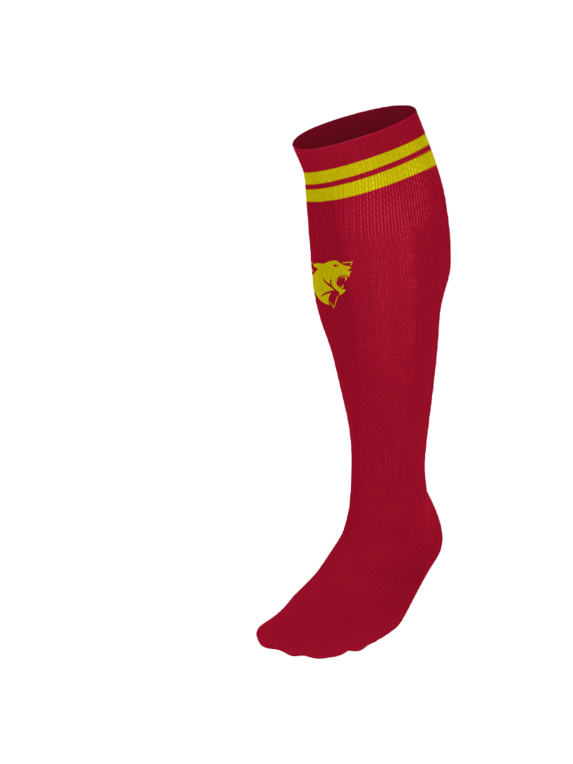 HOME GK SOCKS YOUTH