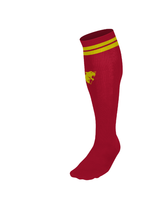 HOME GK SOCKS YOUTH