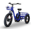 Worcester Cargo Electric Trike: Blue